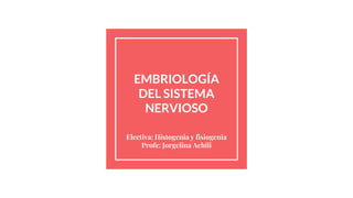 EMBRIOLOGÍA
DEL SISTEMA
NERVIOSO
Electiva: Histogenia y fisiogenia
Profe: Jorgelina Achili
 