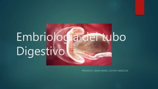 Embriología del tubo
Digestivo
PRESENTA: OMAR ISRAEL CASTRO AMEZCUA
 