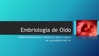 Embriología de Oído
OTORRINOLARINGOLOGÍA Y CIRUGIA DE CABEZA Y CUELLO
DR. ALAN BURGOS PÁEZ R1

 