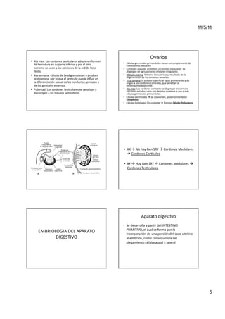 11/5/11




                                                                                                                           Ovarios
•  4to	
  mes:	
  Los	
  cordones	
  tes<culares	
  adquieren	
  forman	
  
                                                                                        •  Células	
  germinales	
  primordiales	
  <enen	
  un	
  complemento	
  de	
  
   de	
  herradura	
  en	
  su	
  parte	
  inferior	
  y	
  por	
  el	
  otro	
            cromosomas	
  sexual	
  XX	
  
   extremo	
  se	
  unen	
  a	
  los	
  cordones	
  de	
  la	
  red	
  de	
  Rete	
     •  Cordones	
  sexuales	
  primi<vos	
  o	
  Corones	
  medulares:	
  Se	
  
   Tes<s.	
                                                                                disgregan	
  en	
  agrupaciones	
  celulares	
  irregulares.	
  
•  8va	
  semana:	
  Células	
  de	
  Leydig	
  empiezan	
  a	
  producir	
             •  Médula	
  ovárica:	
  Estroma	
  Vascularizada,	
  resultado	
  de	
  la	
  
                                                                                           degeneración	
  de	
  los	
  cordones	
  sexuales.	
  
   testoserona,	
  por	
  lo	
  que	
  el	
  tesmculo	
  puede	
  inﬂuir	
  en	
  
                                                                                        •  7ma	
  semana:	
  El	
  epitelio	
  superﬁcial	
  sigue	
  proliferando	
  y	
  da	
  
   la	
  diferenciación	
  sexual	
  de	
  los	
  conductos	
  genitales	
  y	
            origen	
  a	
  los	
  Cordones	
  Cor<cales,	
  que	
  penetran	
  el	
  
   de	
  los	
  genitales	
  externos.	
                                                   mesénquima	
  adyacente.	
  
•  Pubertad:	
  Los	
  cordones	
  tes<culares	
  se	
  canalizan	
  y	
                •  4to	
  mes:	
  Los	
  cordones	
  cor<cales	
  se	
  disgregan	
  en	
  cómulos	
  
                                                                                           celulares	
  aislados,	
  cada	
  uno	
  de	
  ellos	
  con<ene	
  a	
  una	
  o	
  más	
  
   dan	
  origen	
  a	
  los	
  túbulos	
  seminíferos.	
  	
                              células	
  germinales	
  primordiales.	
  
                                                                                        •  Células	
  Germinales	
  	
  Se	
  convierten,	
  posteriormente	
  en	
  
                                                                                           Ovogónios.	
  
                                                                                        •  Células	
  Epiteliales	
  	
  Circundante	
  	
  Forman	
  Células	
  Foliculares.	
  




                                                                                        •  XX	
  	
  No	
  hay	
  Gen	
  SRY	
  	
  Cordones	
  Medulares	
  
                                                                                           	
  Cordones	
  Cor<cales	
  

                                                                                        •  XY	
  	
  Hay	
  Gen	
  SRY	
  	
  Cordones	
  Medulares	
  	
  
                                                                                           Cordones	
  Tes<culares	
  




                                                                                                               Aparato	
  diges<vo	
  
                                                                                        •  Se	
  desarrolla	
  a	
  par<r	
  del	
  INTESTINO	
  
                                                                                           PRIMITIVO,	
  el	
  cual	
  se	
  forma	
  por	
  la	
  
        EMBRIOLOGIA	
  DEL	
  APARATO	
                                                    incorporación	
  de	
  una	
  porción	
  del	
  saco	
  vitelino	
  
               DIGESTIVO	
                                                                 al	
  embrión,	
  como	
  consecuencia	
  del	
  
                                                                                           plegamiento	
  céfalocaudal	
  y	
  lateral	
  




                                                                                                                                                                                              5
 