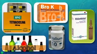 Embriología especial bucomaxilofacial