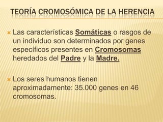 TEORÍA CROMOSÓMICA DE LA HERENCIA

   Las características Somáticas o rasgos de
    un individuo son determinados por genes
    específicos presentes en Cromosomas
    heredados del Padre y la Madre.

   Los seres humanos tienen
    aproximadamente: 35.000 genes en 46
    cromosomas.
 