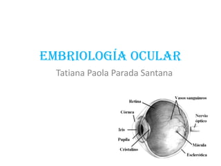 Embriología Ocular
  Tatiana Paola Parada Santana
 