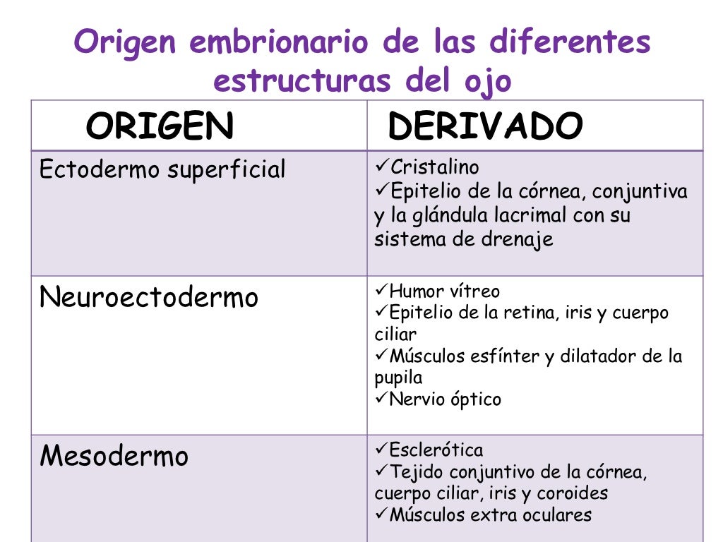Embriología ocular