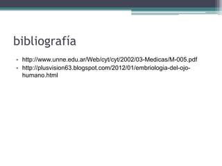 bibliografía
• http://www.unne.edu.ar/Web/cyt/cyt/2002/03-Medicas/M-005.pdf
• http://plusvision63.blogspot.com/2012/01/embriologia-del-ojo-
  humano.html
 