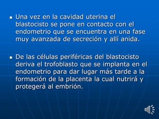  Una vez en la cavidad uterina el
blastocisto se pone en contacto con el
endometrio que se encuentra en una fase
muy avanzada de secreción y allí anida.
 De las células periféricas del blastocisto
deriva el trofoblasto que se implanta en el
endometrio para dar lugar más tarde a la
formación de la placenta la cual nutrirá y
protegerá al embrión.
 