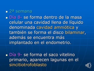  2ª semana
 Día 8- se forma dentro de la masa
celular una cavidad llena de líquido
denominada cavidad amniótica y
también se forma el disco bilaminar,
además se encuentra más
implantado en el endometrio.
 Día 9- se forma el saco vitelino
primario, aparecen lagunas en el
sincitiotrofoblasto
 
