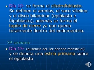  Día 10- se forma el citotrofoblasto.
Se definen el amnios, el saco vitelino
y el disco bilaminar (epiblasto e
hipoblasto), además se forma el
tapón de cierre ya que queda
totalmente dentro del endomentrio.
3ª semana
 Día 15- (ausencia del 1er periodo menstrual)
y se denota una estría primaria sobre
el epiblasto
 
