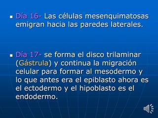  Día 16- Las células mesenquimatosas
emigran hacia las paredes laterales.
 Día 17- se forma el disco trilaminar
(Gástrula) y continua la migración
celular para formar al mesodermo y
lo que antes era el epiblasto ahora es
el ectodermo y el hipoblasto es el
endodermo.
 