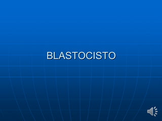 BLASTOCISTO
 