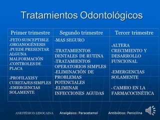 Embriología parte 3