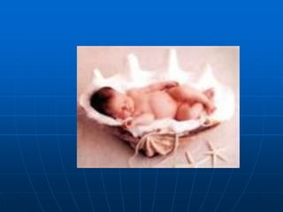 Embriología parte 3