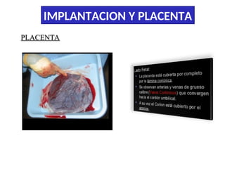 Comprehensive Overview of Embryo Implantation and Placenta Development ...