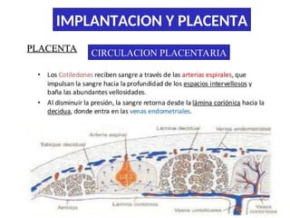 Comprehensive Overview of Embryo Implantation and Placenta Development ...
