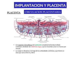 Comprehensive Overview of Embryo Implantation and Placenta Development ...
