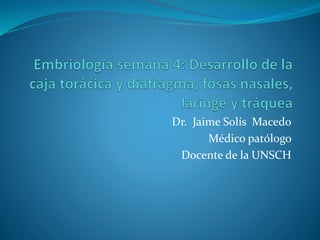 Dr. Jaime Solís Macedo
Médico patólogo
Docente de la UNSCH
 