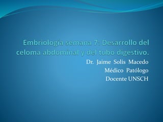 Dr. Jaime Solís Macedo
Médico Patólogo
Docente UNSCH
 