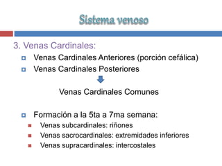 3. Venas Cardinales:
 Venas Cardinales Anteriores (porción cefálica)
 Venas Cardinales Posteriores
Venas Cardinales Comunes
 Formación a la 5ta a 7ma semana:
 Venas subcardinales: riñones
 Venas sacrocardinales: extremidades inferiores
 Venas supracardinales: intercostales
 