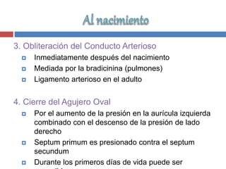 3. Obliteración del Conducto Arterioso
 Inmediatamente después del nacimiento
 Mediada por la bradicinina (pulmones)
 Ligamento arterioso en el adulto
4. Cierre del Agujero Oval
 Por el aumento de la presión en la aurícula izquierda
combinado con el descenso de la presión de lado
derecho
 Septum primum es presionado contra el septum
secundum
 Durante los primeros días de vida puede ser
 