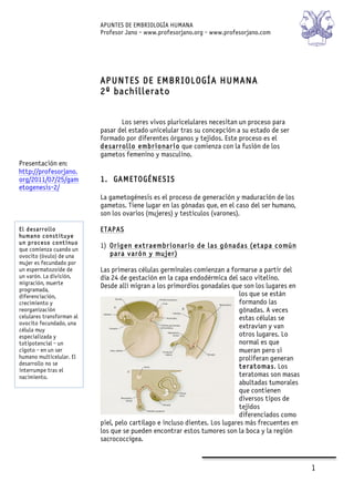 APUNTES DE EMBRIOLOGÍA HUMANA
Profesor Jano - www.profesorjano.org - www.profesorjano.com
       
1  
  
  
  
APUNTES DE EMBRIOLOGÍA HUMANA
2º bachillerato
Los seres vivos pluricelulares necesitan un proceso para
pasar del estado unicelular tras su concepción a su estado de ser
formado por diferentes órganos y tejidos. Este proceso es el
desarrollo embrionario que comienza con la fusión de los
gametos femenino y masculino.
1. GAMETOGÉNESIS
La gametogénesis es el proceso de generación y maduración de los
gametos. Tiene lugar en las gónadas que, en el caso del ser humano,
son los ovarios (mujeres) y testículos (varones).
ETAPAS
1) Origen extraembrionario de las gónadas (etapa común
para varón y mujer)
Las primeras células germinales comienzan a formarse a partir del
día 24 de gestación en la capa endodérmica del saco vitelino.
Desde allí migran a los primordios gonadales que son los lugares en
los que se están
formando las
gónadas. A veces
estas células se
extravían y van
otros lugares. Lo
normal es que
mueran pero si
proliferan generan
teratomas. Los
teratomas son masas
abultadas tumorales
que contienen
diversos tipos de
tejidos
diferenciados como
piel, pelo cartílago e incluso dientes. Los lugares más frecuentes en
los que se pueden encontrar estos tumores son la boca y la región
sacrococcígea.
Presentación en:
http://profesorjano.
org/2011/07/25/gam
etogenesis-2/
El desarrollo
humano constituye
un proceso continuo
que comienza cuando un
ovocito (óvulo) de una
mujer es fecundado por
un espermatozoide de
un varón. La división,
migración, muerte
programada,
diferenciación,
crecimiento y
reorganización
celulares transforman al
ovocito fecundado, una
célula muy
especializada y
totipotencial - un
cigoto - en un ser
humano multicelular. El
desarrollo no se
interrumpe tras el
nacimiento.
 