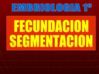 EMBRIOLOGIA 1º FECUNDACION SEGMENTACION 