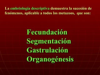La  embriología descriptiva  demuestra la sucesión de fenómenos, aplicable a todos los metazoos,  que son: Fecundación Segmentación Gastrulación  Organogénesis 