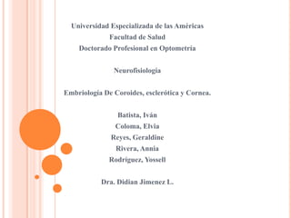 Universidad Especializada de las Américas Facultad de Salud Doctorado Profesional en Optometría Neurofisiología Embriología De Coroides, esclerótica y Cornea. Batista, Iván Coloma, Elvia Reyes, Geraldine Rivera, Annia  Rodríguez, Yossell Dra. Didian Jimenez L. 