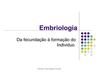 Embriologia Da fecundação à formação do Individuo  