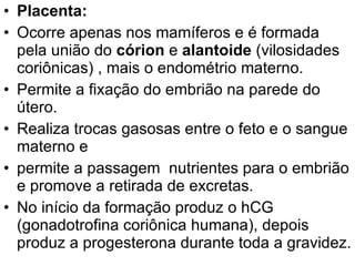 Placenta: Ocorre apenas nos mamíferos e é formada pela união do  córion  e  alantoide  (vilosidades coriônicas) , mais o endométrio materno.  Permite a fixação do embrião na parede do útero.  Realiza trocas gasosas entre o feto e o sangue materno e  permite a passagem  nutrientes para o embrião e promove a retirada de excretas. No início da formação produz o hCG (gonadotrofina coriônica humana), depois produz a progesterona durante toda a gravidez.  