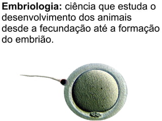 Embriologia:  ciência que estuda o desenvolvimento dos animais desde a fecundação até a formação do embrião. 