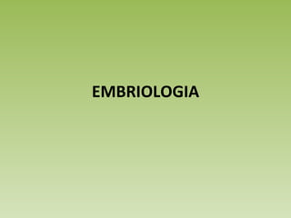 EMBRIOLOGIA 
