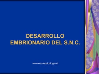 DESARROLLO
EMBRIONARIO DEL S.N.C.


       www.neuropsicologia.cl
 