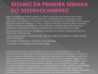 Depois do espermatozóide penetrar o ovócito, sua cabeça se separa da cauda e
cresce, tornando-se o pronúcleo masculino. A fertilização termina quando os dois
pronúcleos se unem e os cromossomos maternos e paternos se embaralham. Ao avançar
pela tuba uterina em direção ao útero, o zigoto passa pela clivagem (série de divisões
mitóticas), ficando constituído por células menores, os blastômeros. Três dias após a
fertilização, uma bola com 12 ou mais blastômeros, a mórula, penetra no útero.
Rapidamente forma-se uma cavidade blastocística na mórula convertendo-a em um
blastocisto, constituído de:
- Massa celular interna, ou embrioblasto, que dá origem ao embrião e a alguns tecidos
extra-embrionários
- Cavidade do blastocisto, um espaço cheio de fluido
- Trofoblasto, uma delgada camada de células.



O trofoblasto envolve a massa celular interna e a cavidade blastocística e, mais
tarde, forma estruturas extra-embrionárias e a parte embrionária da placenta. Quatro a
cinco dias após a fertilização, a zona pelúcida é descartada e o trofoblasto adjacente à
massa celular interna se prende ao epitélio do endométrio. O trofoblasto adjacente ao
pólo embrionário diferencia-se em duas camadas, o sinciciotrofoblasto, externo - uma
massa multinucleada sem limites celulares distintos - e o citotrofoblasto, interno - uma
camada de células mononucleadas. o sinciciotrofoblasto invade o epitélio do endométrio
e o tecido conjuntivo subjacente. Concomitantemente, uma camada de células
cubóides, o hipoblasto, forma-se na superfície interna da massa celular interna. Ao fim da
primeira semana, o blastocisto está implantado, superficialmente, no endométrio.
 
