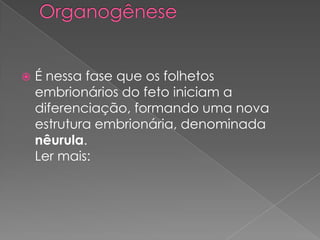    É nessa fase que os folhetos
    embrionários do feto iniciam a
    diferenciação, formando uma nova
    estrutura embrionária, denominada
    nêurula.
    Ler mais:
 