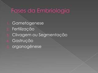 1. Gametogenese
2. Fertilização
3. Clivagem ou Segmentação
4. Gastrução
5. organogênese
 