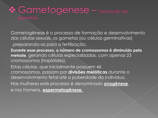 Gametogênese é o processo de formação e desenvolvimento
das células sexuais, os gametas (ou células germinativas)
,preparando-as para a fertilização.
Durante esse processo, o número de cromossomos é diminuído pela
metade, gerando células especializadas, com apenas 23
cromossomos (haplóides).
Estas células, que inicialmente possuem 46
cromossomos, passam por divisões meióticas durante o
desenvolvimento fetal até a puberdade do indivíduo.
Nas mulheres este processo é denominado ovogênese,
e nos homens, espermatogênese.
 