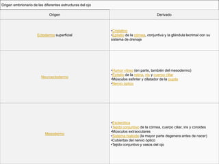 Origen embrionario de las diferentes estructuras del ojo

                             Origen                                                      Derivado



                                                           •Cristalino
                      Ectodermo superficial                •Epitelio de la córnea, conjuntiva y la glándula lacrimal con su
                                                           sistema de drenaje




                                                           •Humor vítreo (en parte, también del mesodermo)
                                                           •Epitelio de la retina, iris y cuerpo ciliar
                        Neuroectodermo
                                                           •Músculos esfinter y dilatador de la pupila
                                                           •Nervio óptico




                                                           •Esclerótica
                                                           •Tejido conjuntivo de la córnea, cuerpo ciliar, iris y coroides
                                                           •Músculos extraoculares
                           Mesodermo
                                                           •Sistema hialoide (la mayor parte degenera antes de nacer)
                                                           •Cubiertas del nervio óptico
                                                           •Tejido conjuntivo y vasos del ojo
 