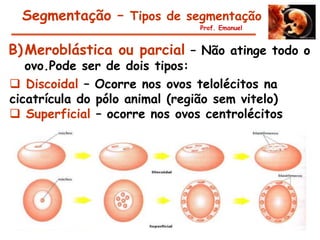 Segmentação – Tipos de segmentação
                                Prof. Emanuel


B) Meroblástica ou parcial – Não atinge todo o
   ovo.Pode ser de dois tipos:
 Discoidal – Ocorre nos ovos telolécitos na
cicatrícula do pólo animal (região sem vitelo)
 Superficial – ocorre nos ovos centrolécitos
 