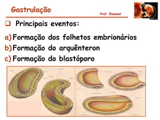 Gastrulação              Prof. Emanuel


 Principais eventos:
a) Formação dos folhetos embrionários
b) Formação do arquênteron
c) Formação do blastóporo
 