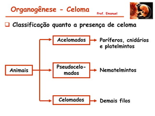 Organogênese - Celoma         Prof. Emanuel



 Classificação quanto a presença de celoma

                 Acelomados     Poríferos, cnidários
                                e platelmintos


                 Pseudocelo-
 Animais                        Nematelmintos
                    mados




                 Celomados      Demais filos
 