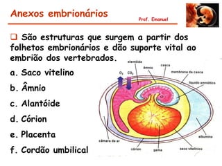 Anexos embrionários           Prof. Emanuel



 São estruturas que surgem a partir dos
folhetos embrionários e dão suporte vital ao
embrião dos vertebrados.
a. Saco vitelino
b. Âmnio
c. Alantóide
d. Córion
e. Placenta
f. Cordão umbilical
 
