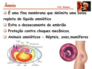 Âmnio                          Prof. Emanuel


 É uma fina membrana que delimita uma bolsa
repleta de líquido amniótico
 Evita o dessecamento do embrião
 Proteção contra choques mecânicos.
 Animais amnióticos - Répteis, aves,mamíferos
 