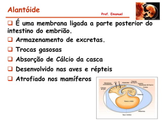 Alantóide                    Prof. Emanuel


 É uma membrana ligada a parte posterior do
intestino do embrião.
 Armazenamento de excretas.
 Trocas gasosas
 Absorção de Cálcio da casca
 Desenvolvido nas aves e répteis
 Atrofiado nos mamíferos
 