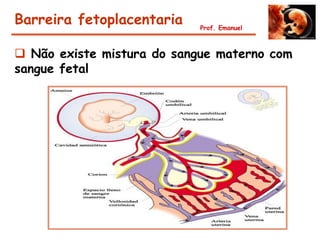 Barreira fetoplacentaria    Prof. Emanuel



 Não existe mistura do sangue materno com
sangue fetal
 