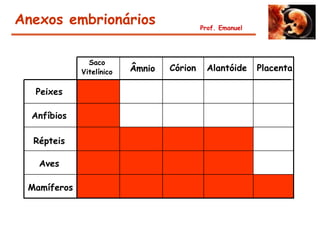 Anexos embrionários                        Prof. Emanuel




               Saco
             Vitelínico   Âmnio   Córion     Alantóide     Placenta

  Peixes

  Anfíbios

  Répteis

   Aves

 Mamíferos
 