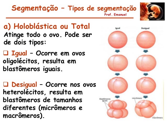 Imagem relacionada