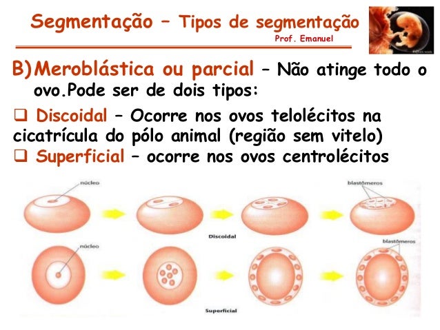 Imagem relacionada