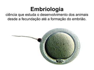 Embriologia
ciência que estuda o desenvolvimento dos animais
 desde a fecundação até a formação do embrião.
 
