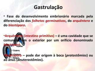 Gastrulação
• Fase do desenvolvimento embrionário marcada pela
diferenciação dos folhetos germinativos, do arquêntero e
do blastóporo.
•Arquêntero (intestino primitivo) – é uma cavidade que se
comunica com o exterior por um orifício denominado
blastóporo.
•Blastóporo – pode dar origem à boca (protostômios) ou
ao ânus (deuterostômios).
 