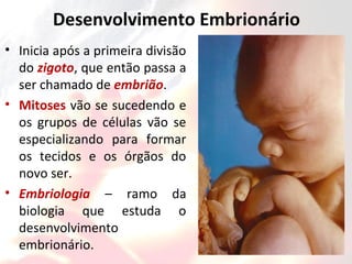 Desenvolvimento Embrionário
• Inicia após a primeira divisão
do zigoto, que então passa a
ser chamado de embrião.
• Mitoses vão se sucedendo e
os grupos de células vão se
especializando para formar
os tecidos e os órgãos do
novo ser.
• Embriologia – ramo da
biologia que estuda o
desenvolvimento
embrionário.
 
